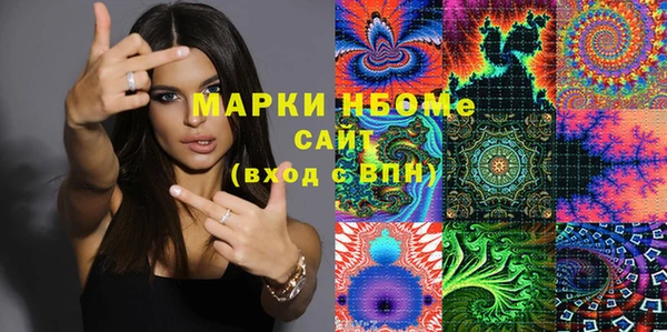 прущие грибы Гусиноозёрск