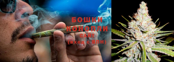 ГАЛЛЮЦИНОГЕННЫЕ ГРИБЫ Володарск